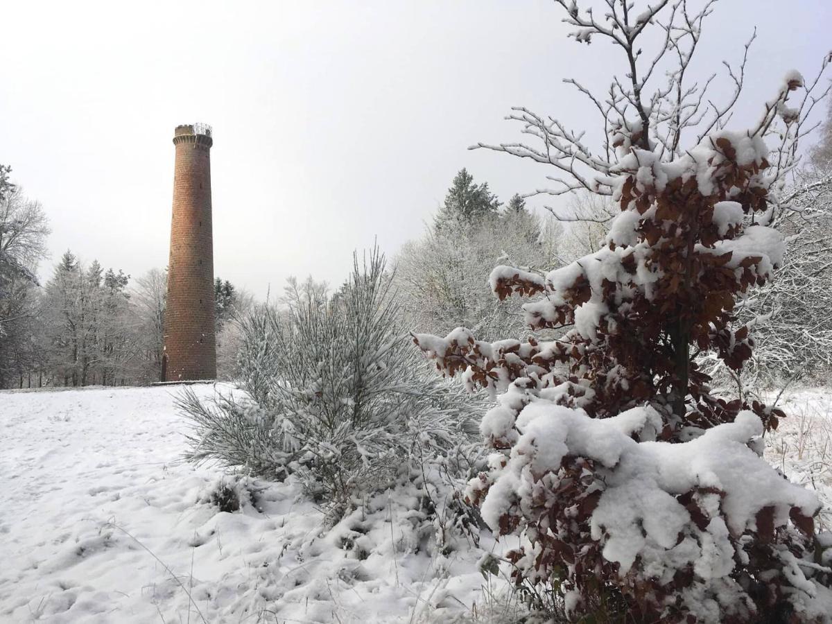 Appartement Les Tilleuls "3 Etoiles" Niederbronn-les-Bains Exteriör bild