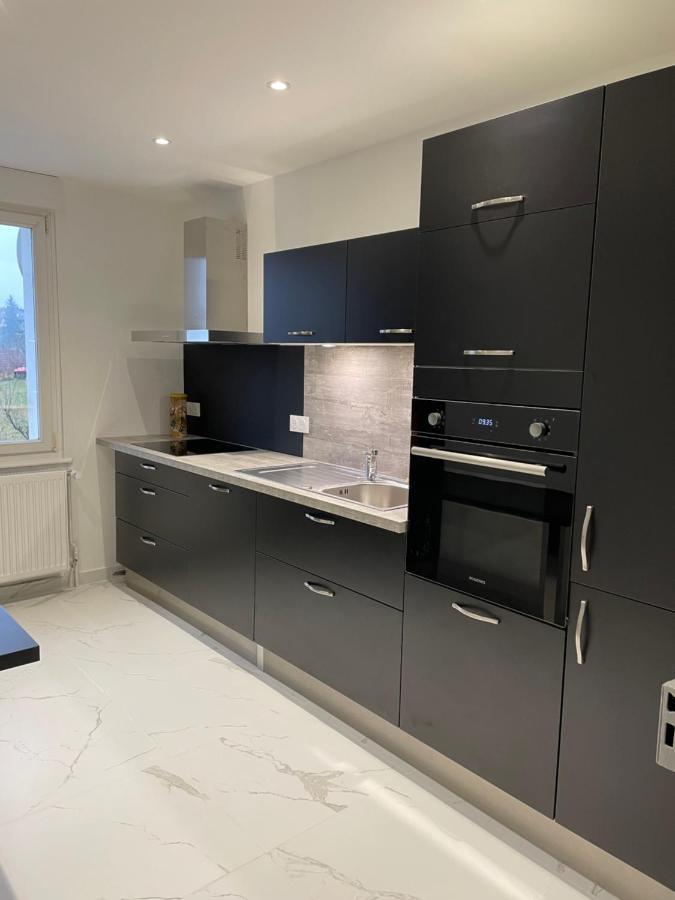 Appartement Les Tilleuls "3 Etoiles" Niederbronn-les-Bains Exteriör bild